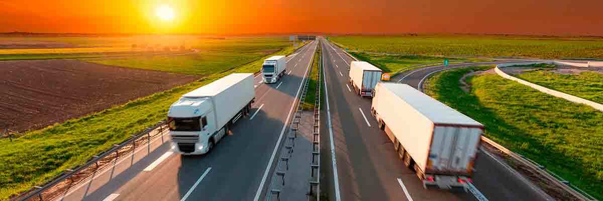 The Value of Dependable Freight Services for Your Company